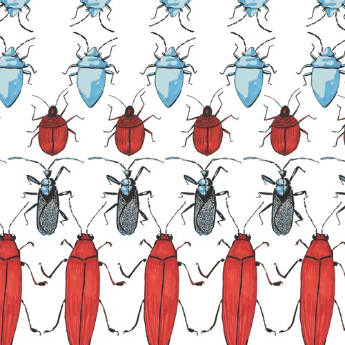 bugs3.jpg