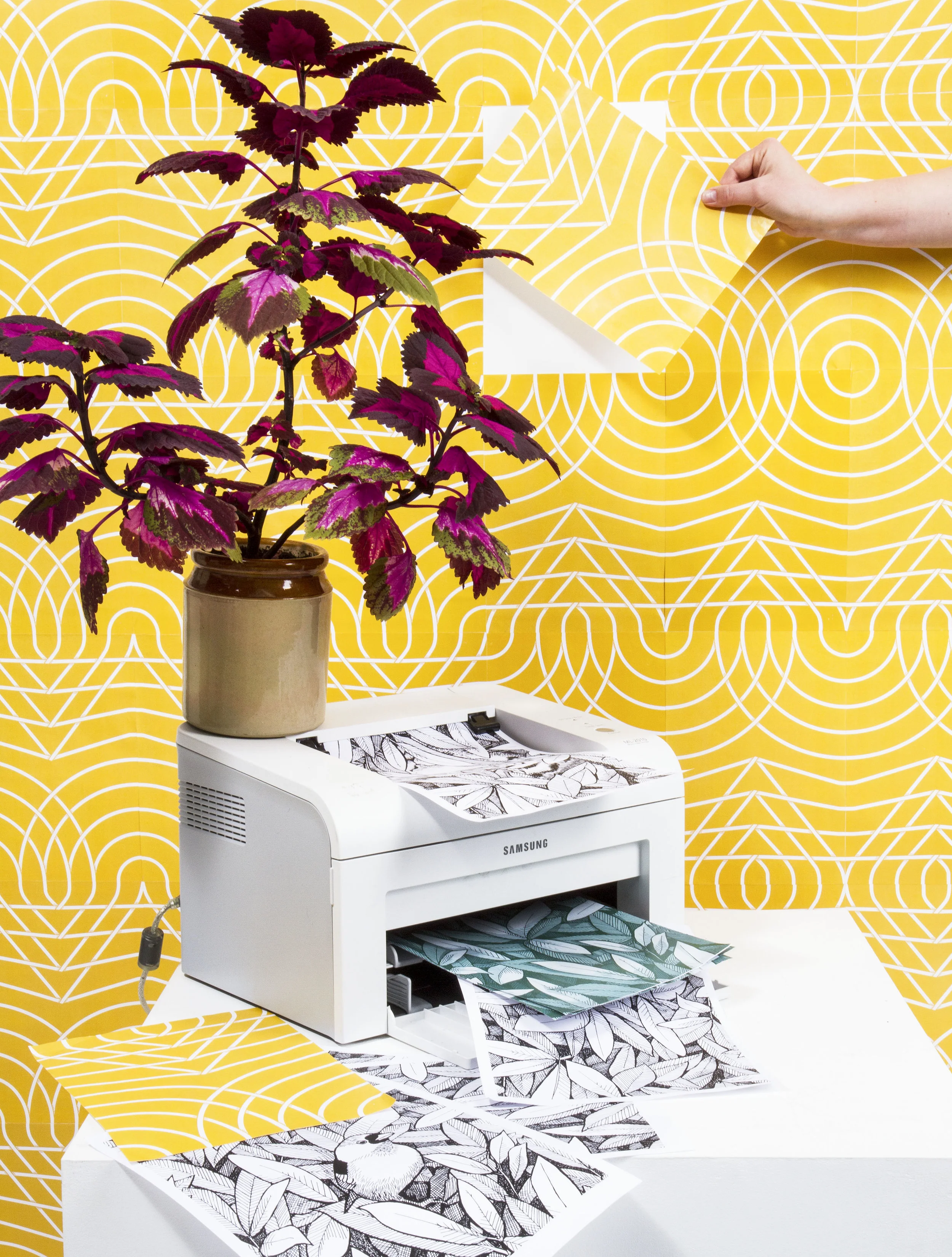  foto: Rebecca Eskilsson 