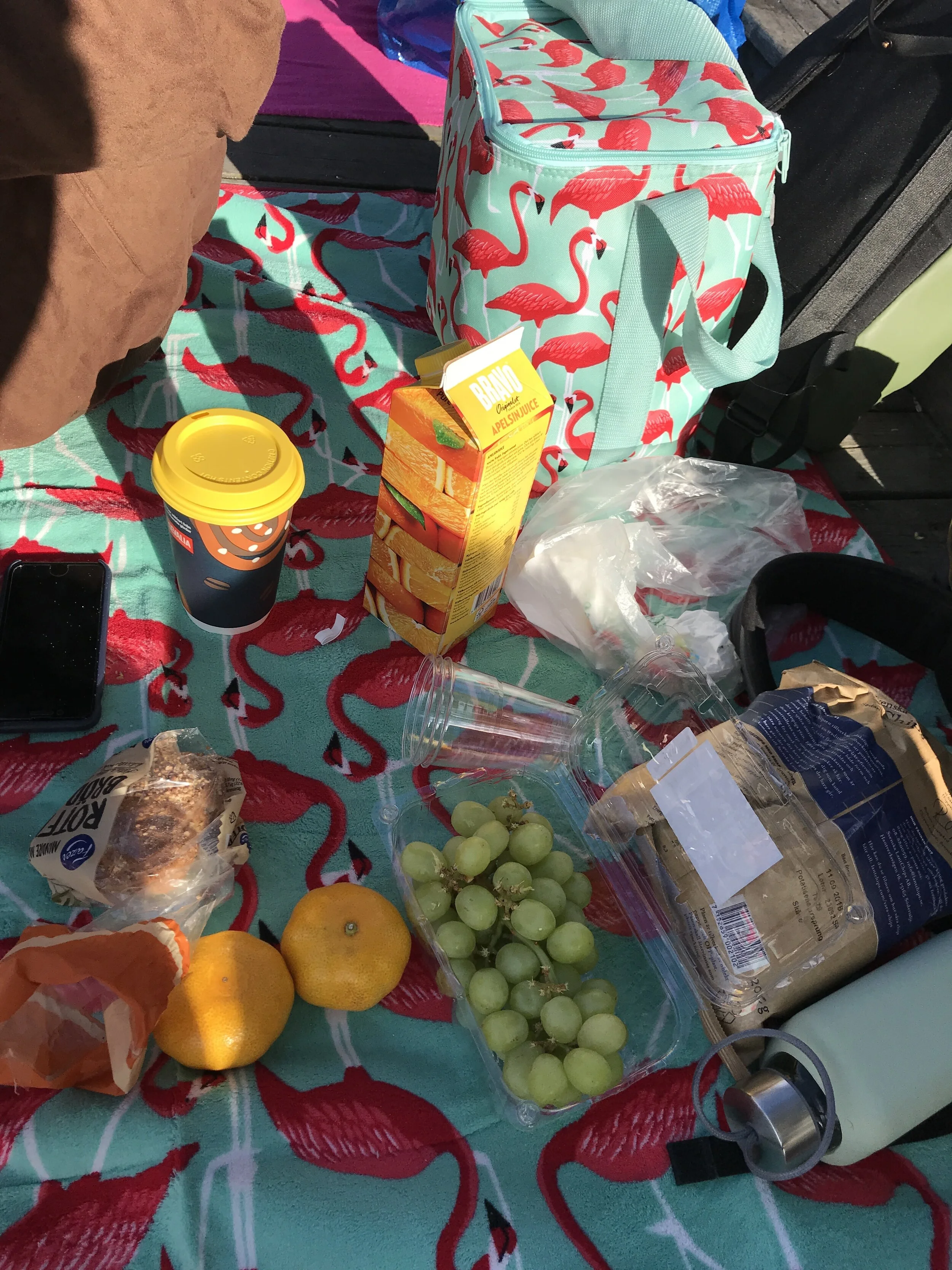 picknick flamingo.jpg