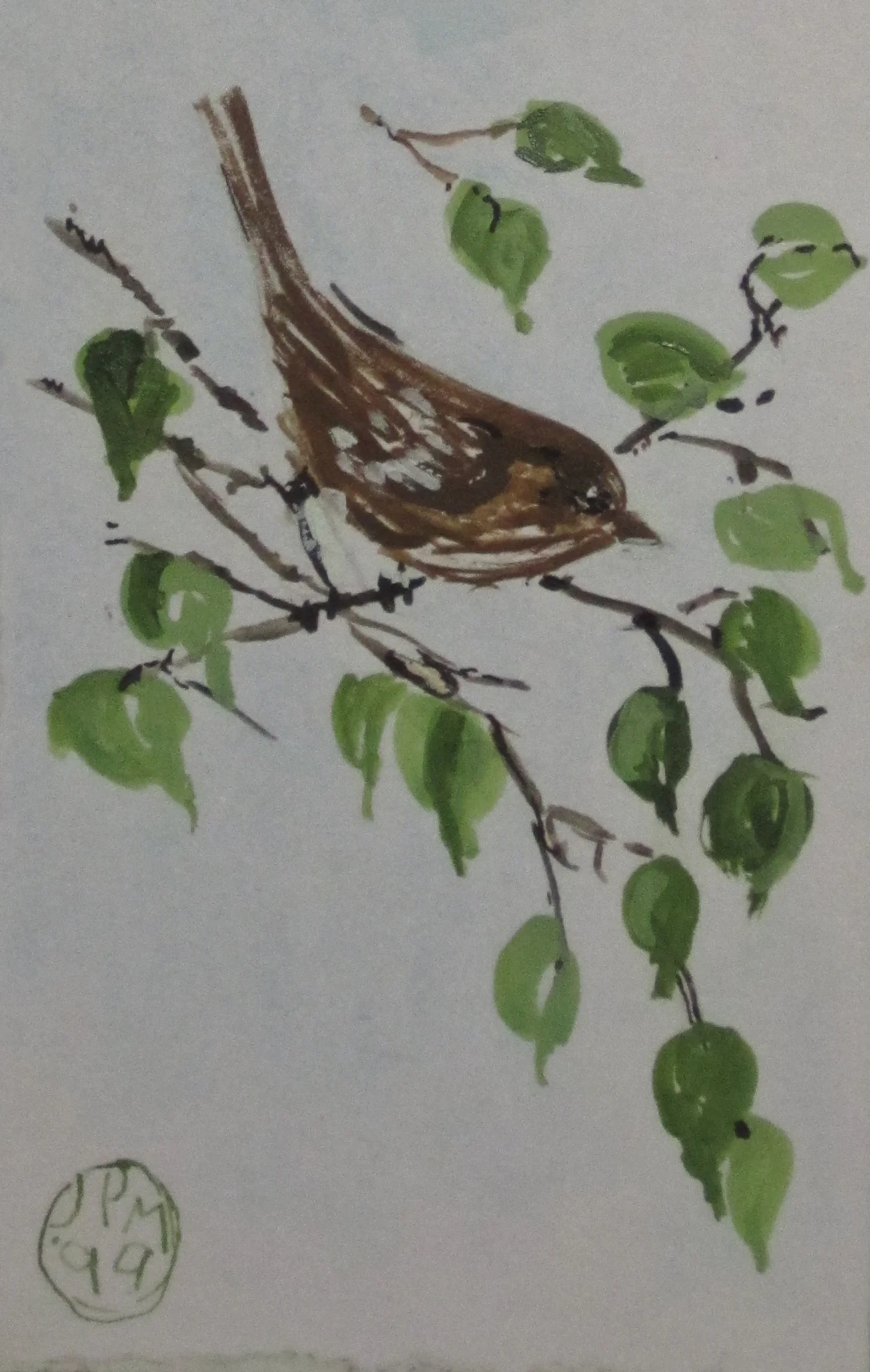 bird_1.jpg