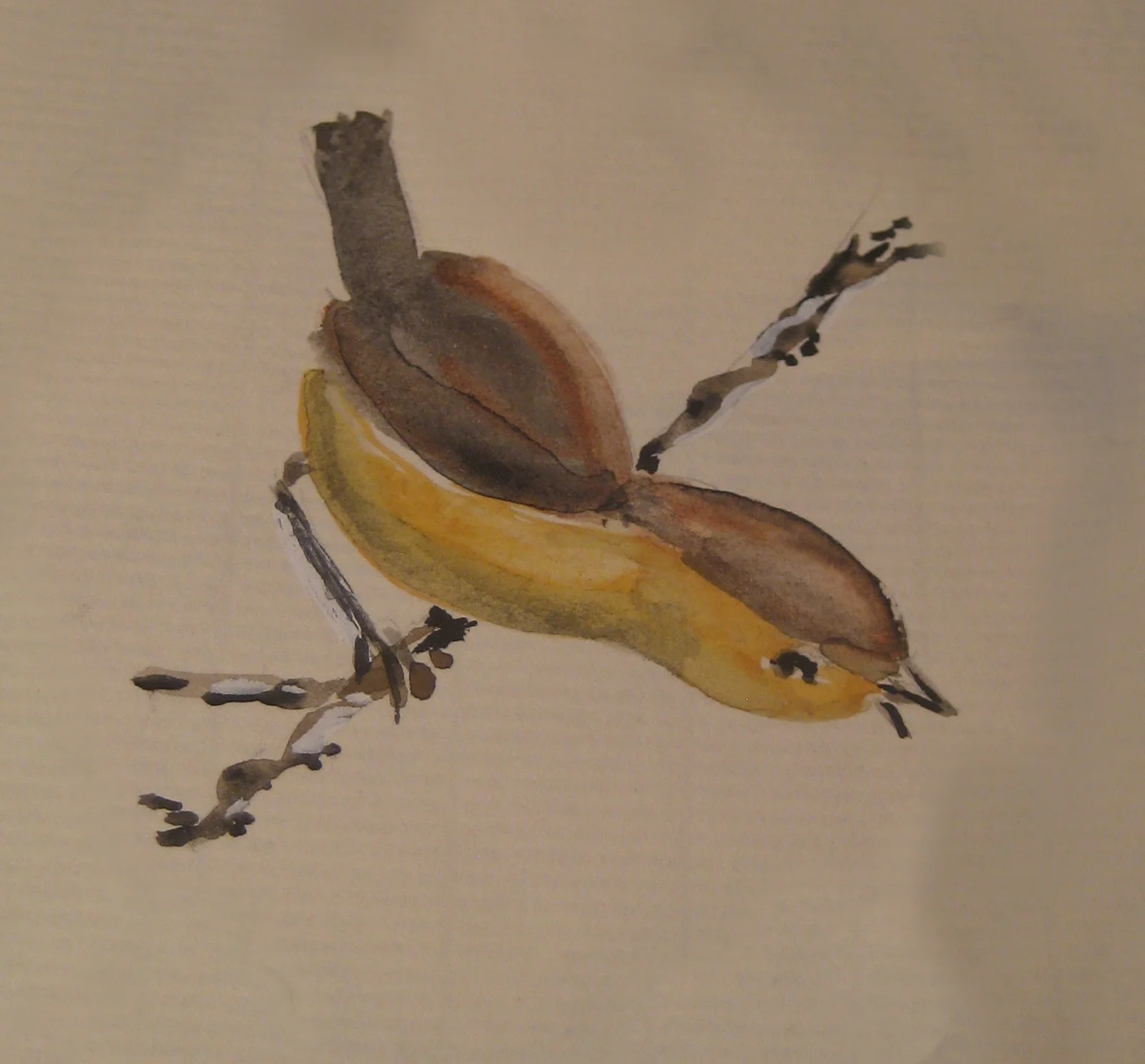 bird_4.jpg
