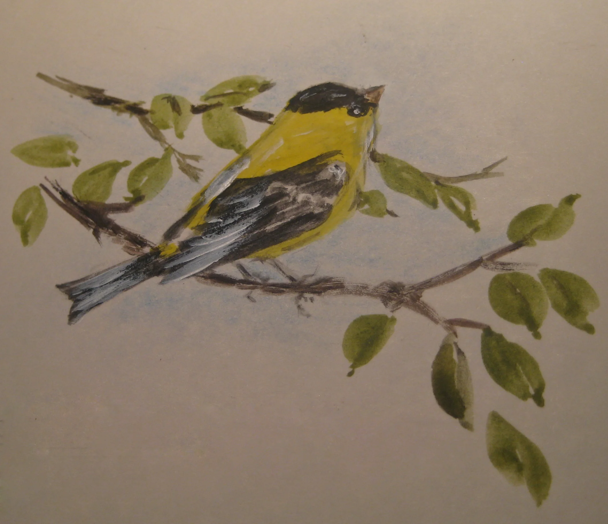 goldfinch_3.jpg