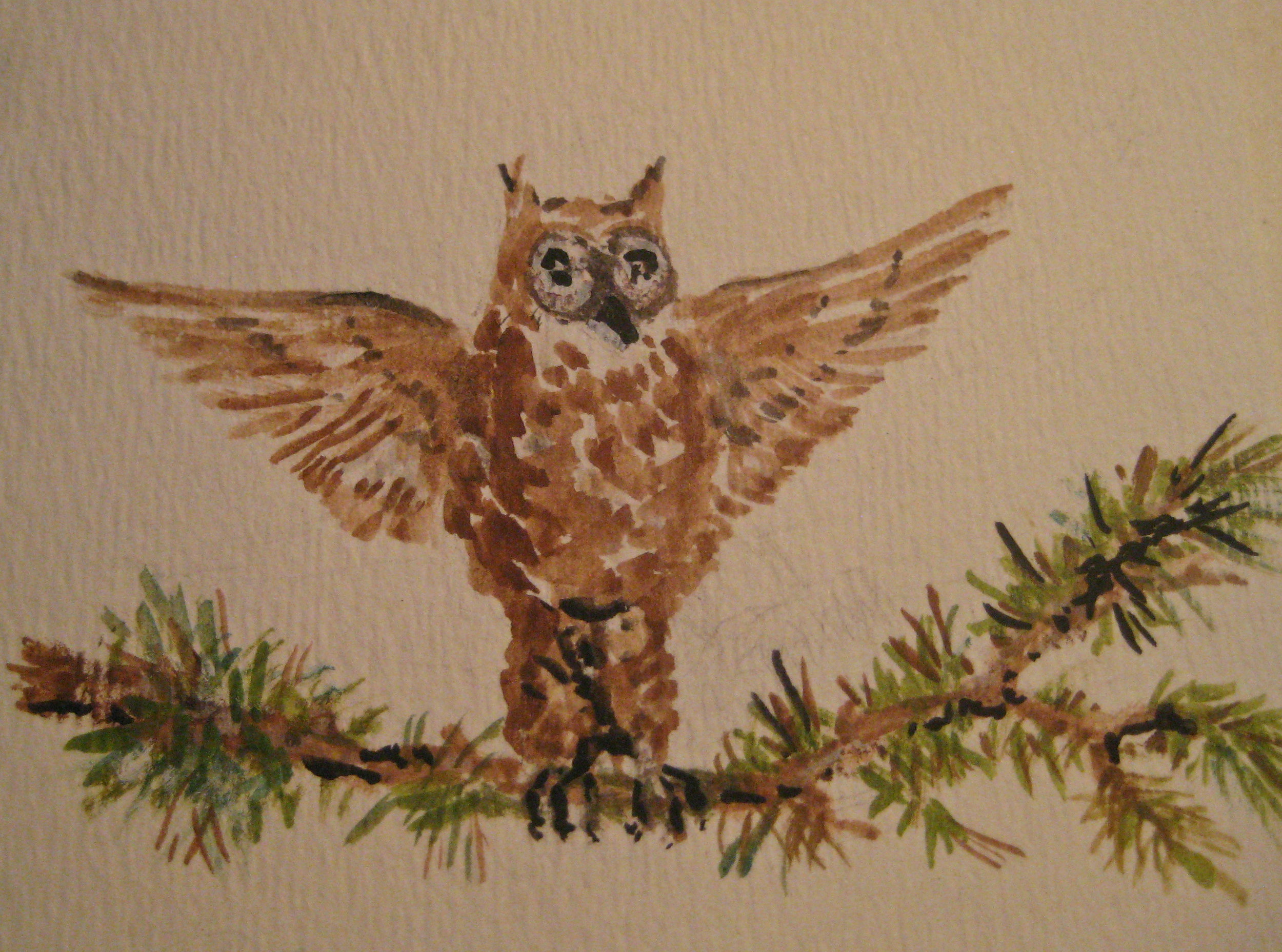 owl_1.jpg
