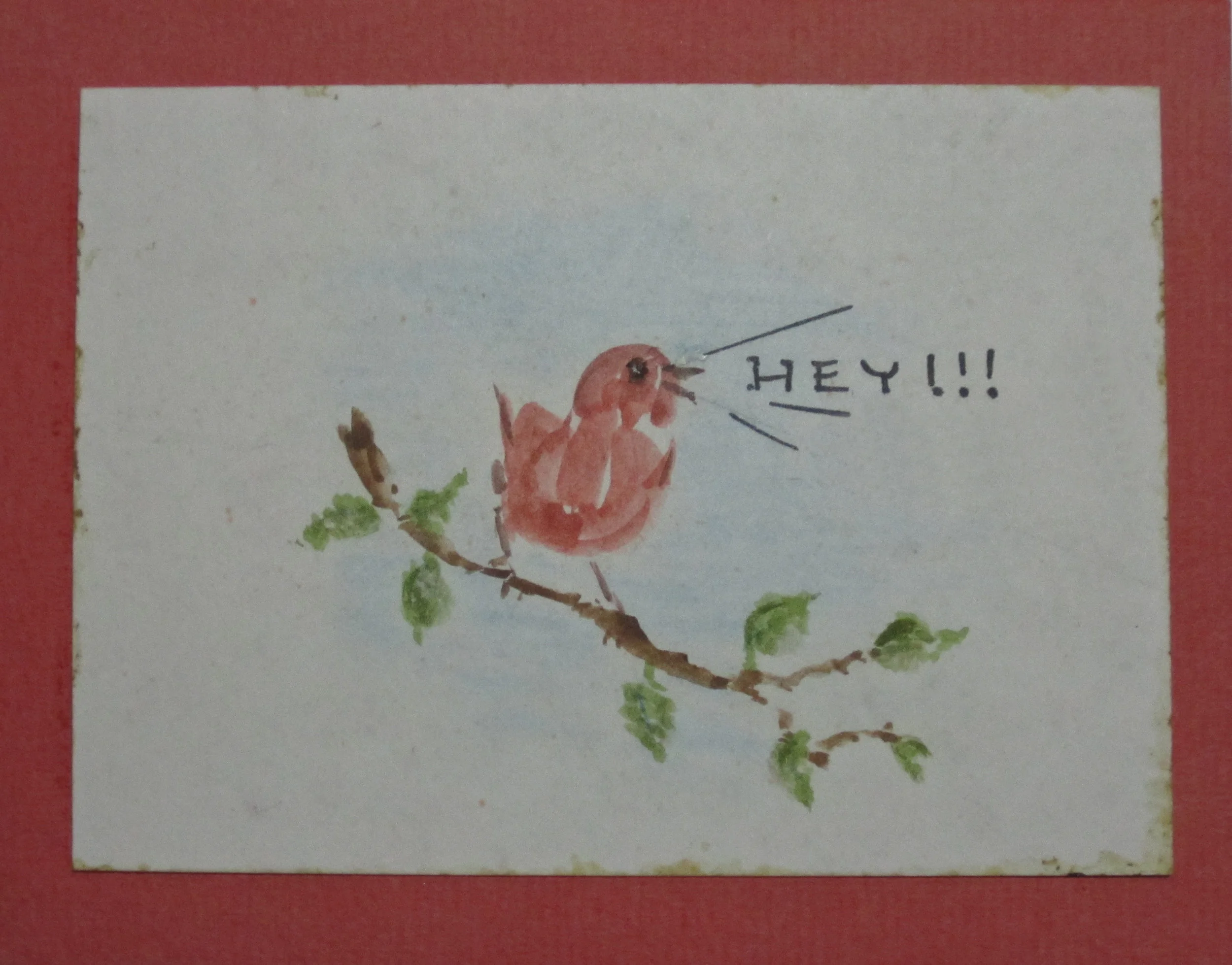 red bird.jpg