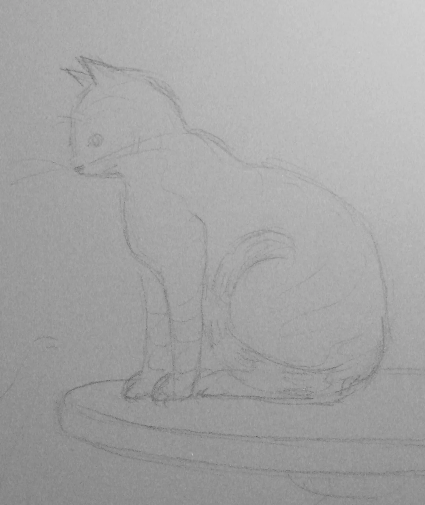cat_1.jpg