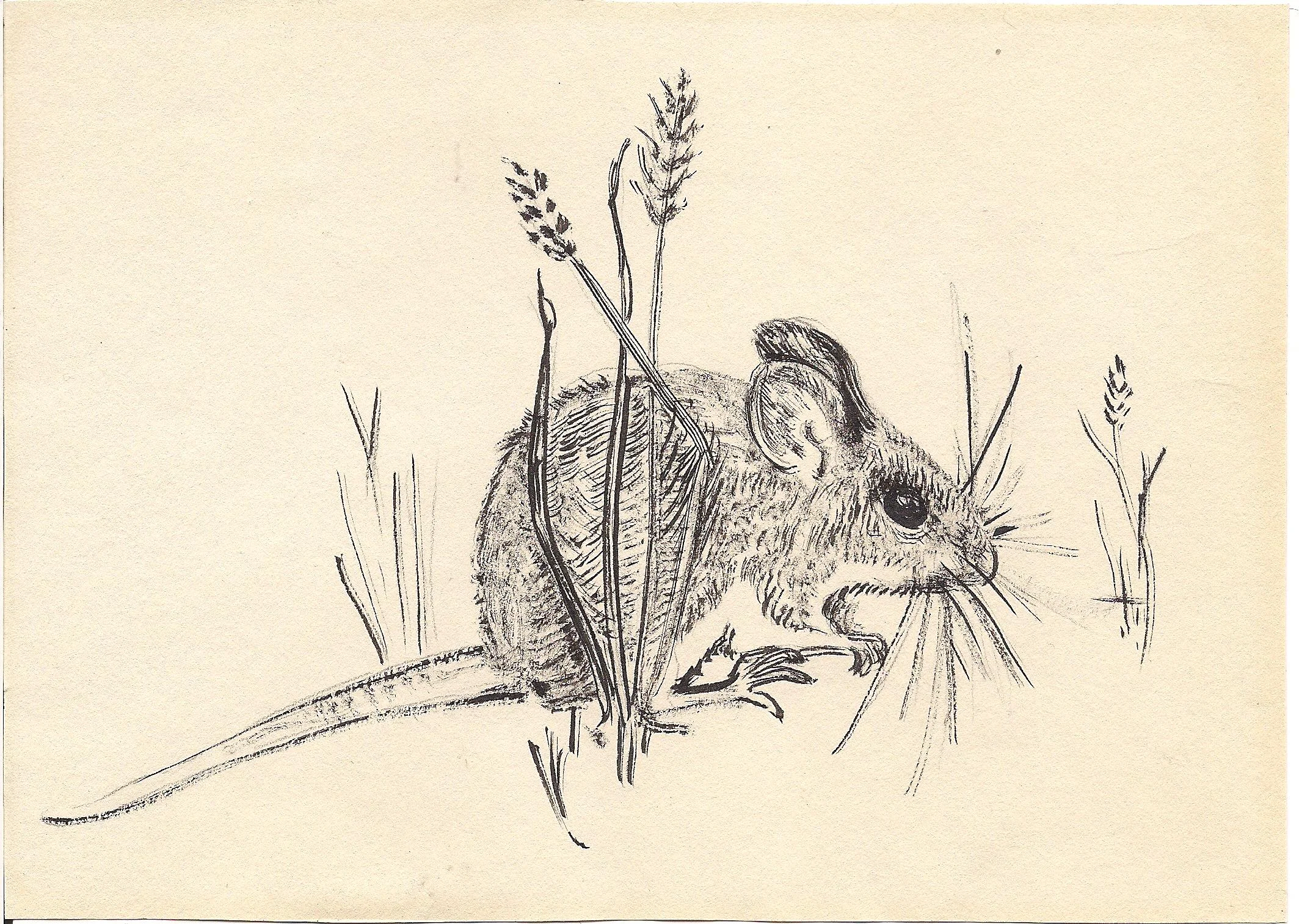 Gram's art 013.jpg