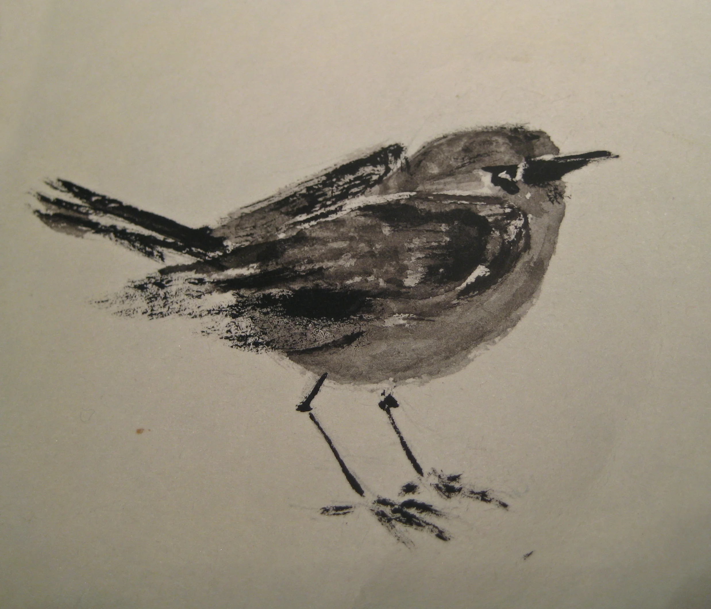 gray bird 1.jpg