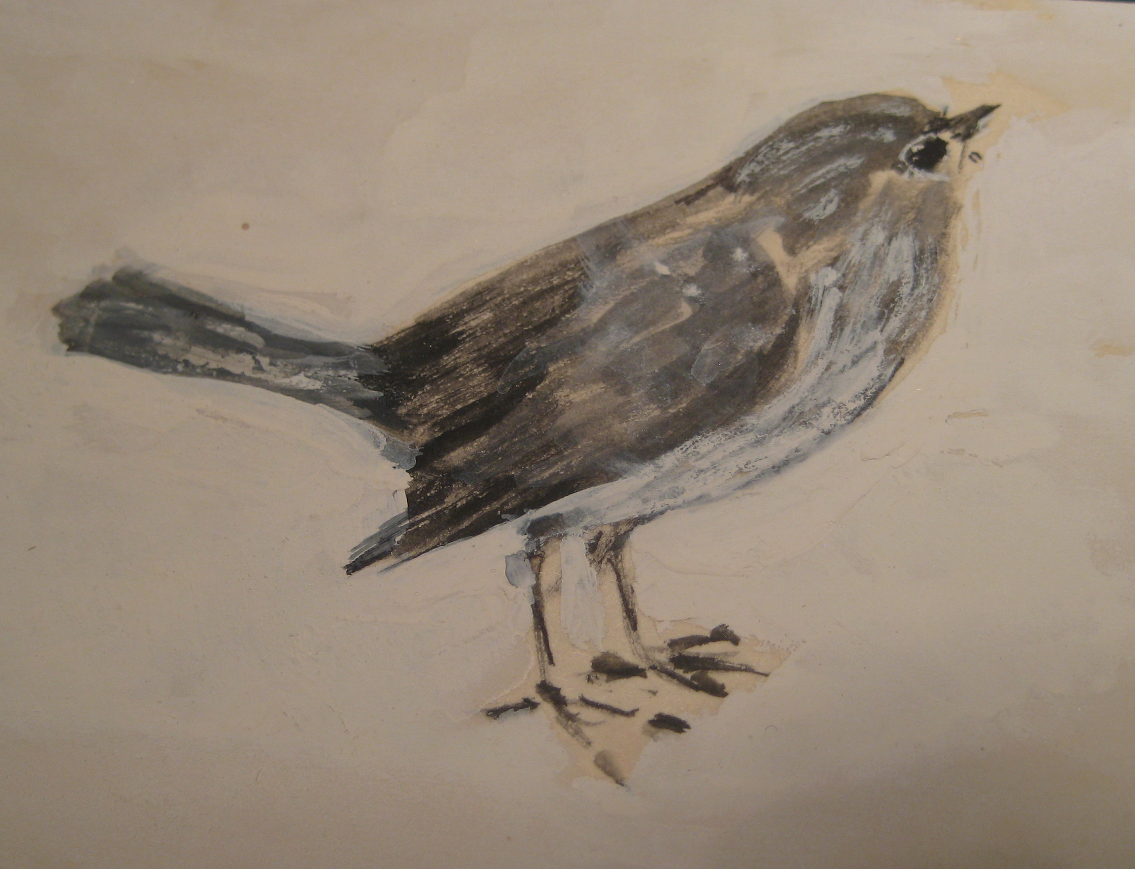 painted bird.jpg
