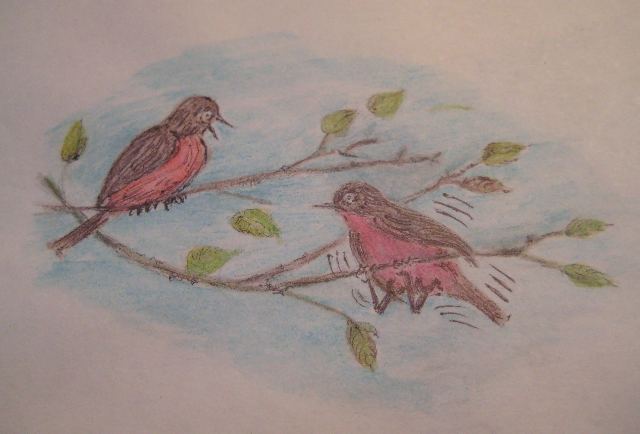 pencil birds2.jpg
