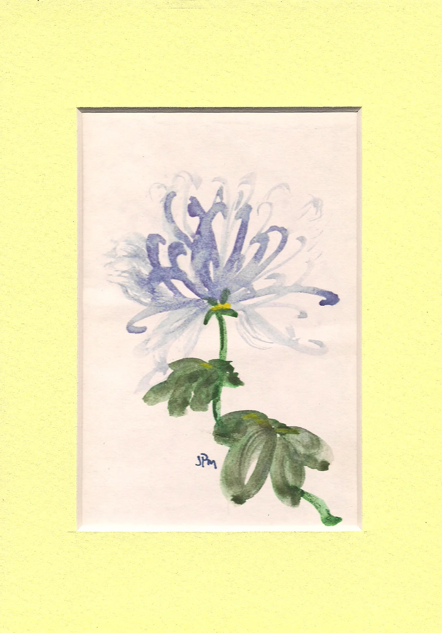 purple flower.jpg