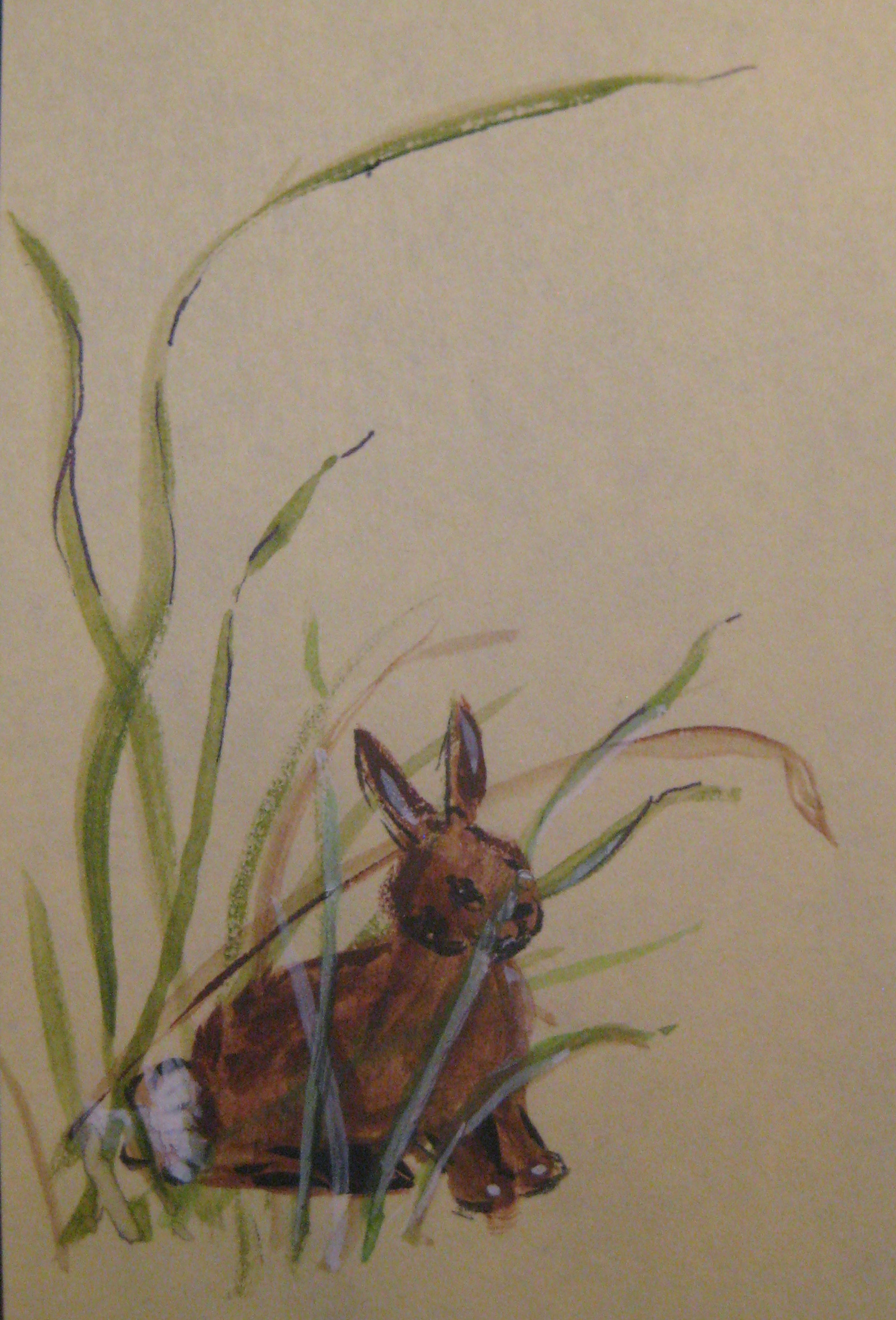 rabbit.jpg