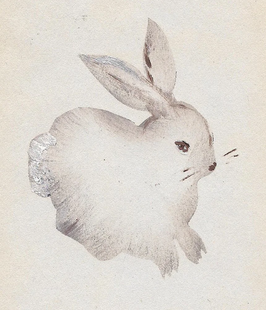 rabbit_2.jpg