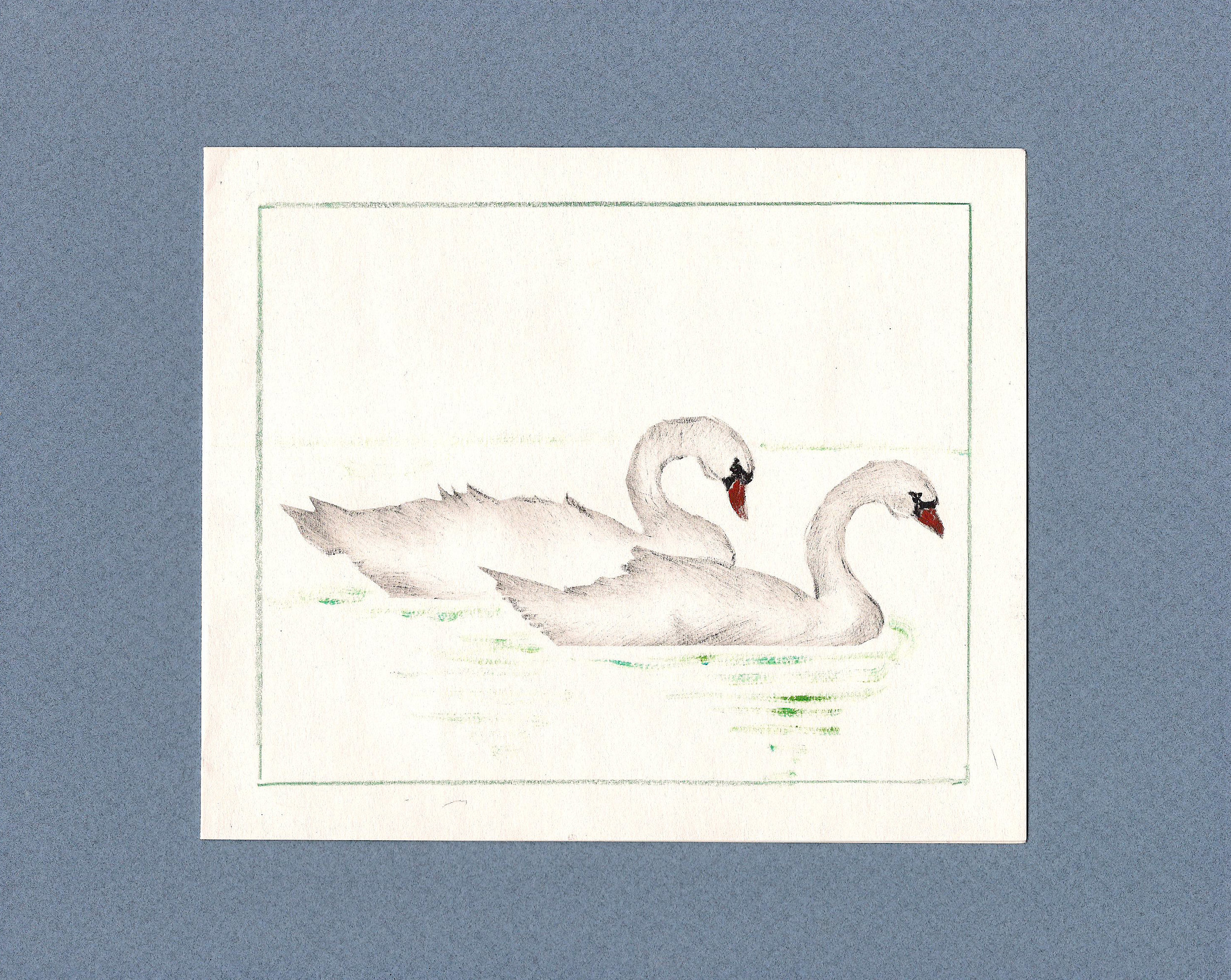 swans.jpg