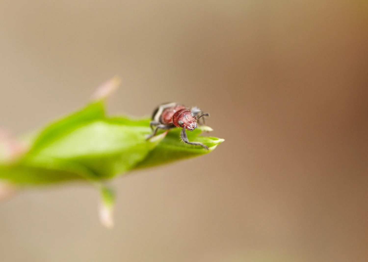 2016_04_Sunset Hill_063.jpg
