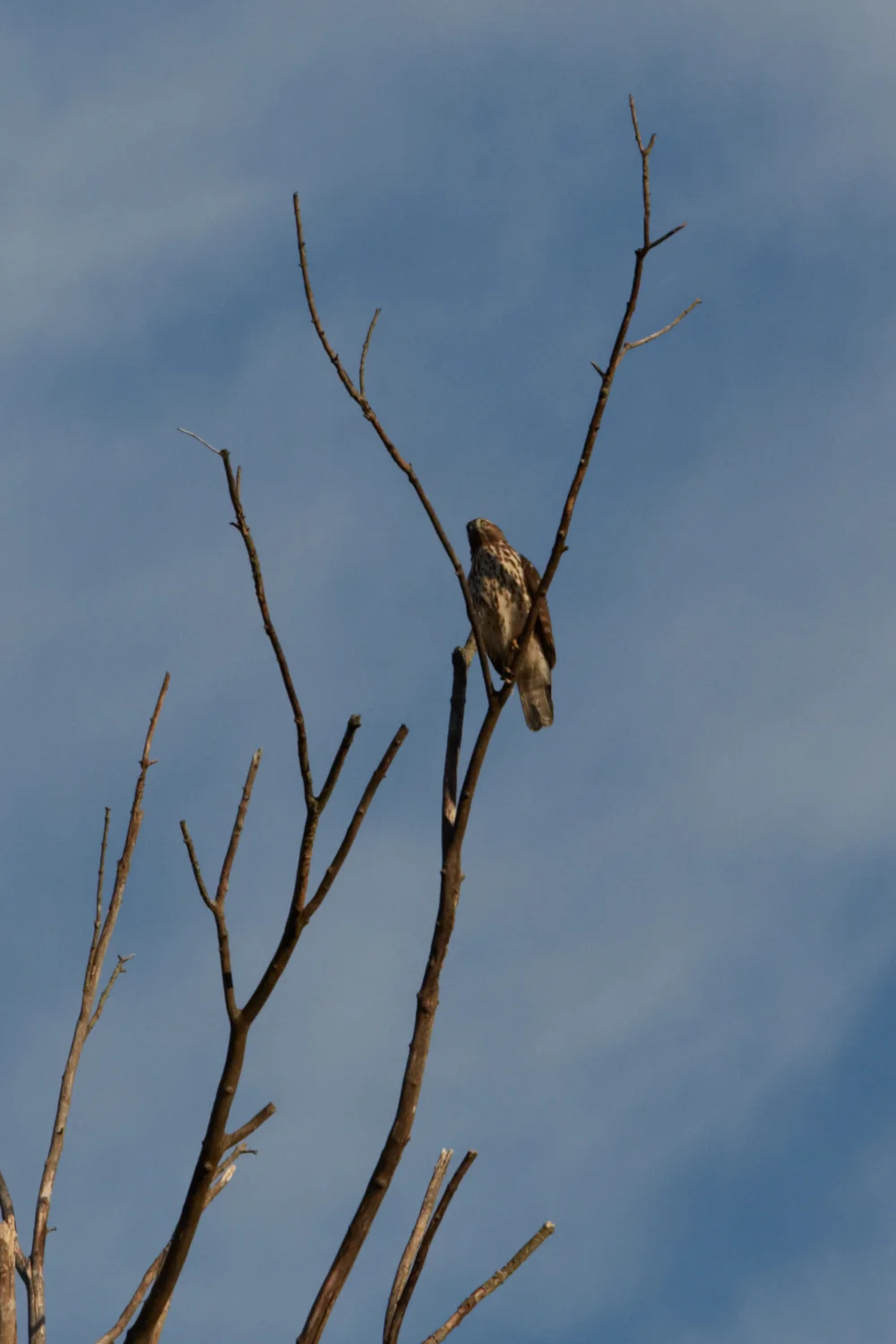 2016_10_Sunset Hill_028.jpg