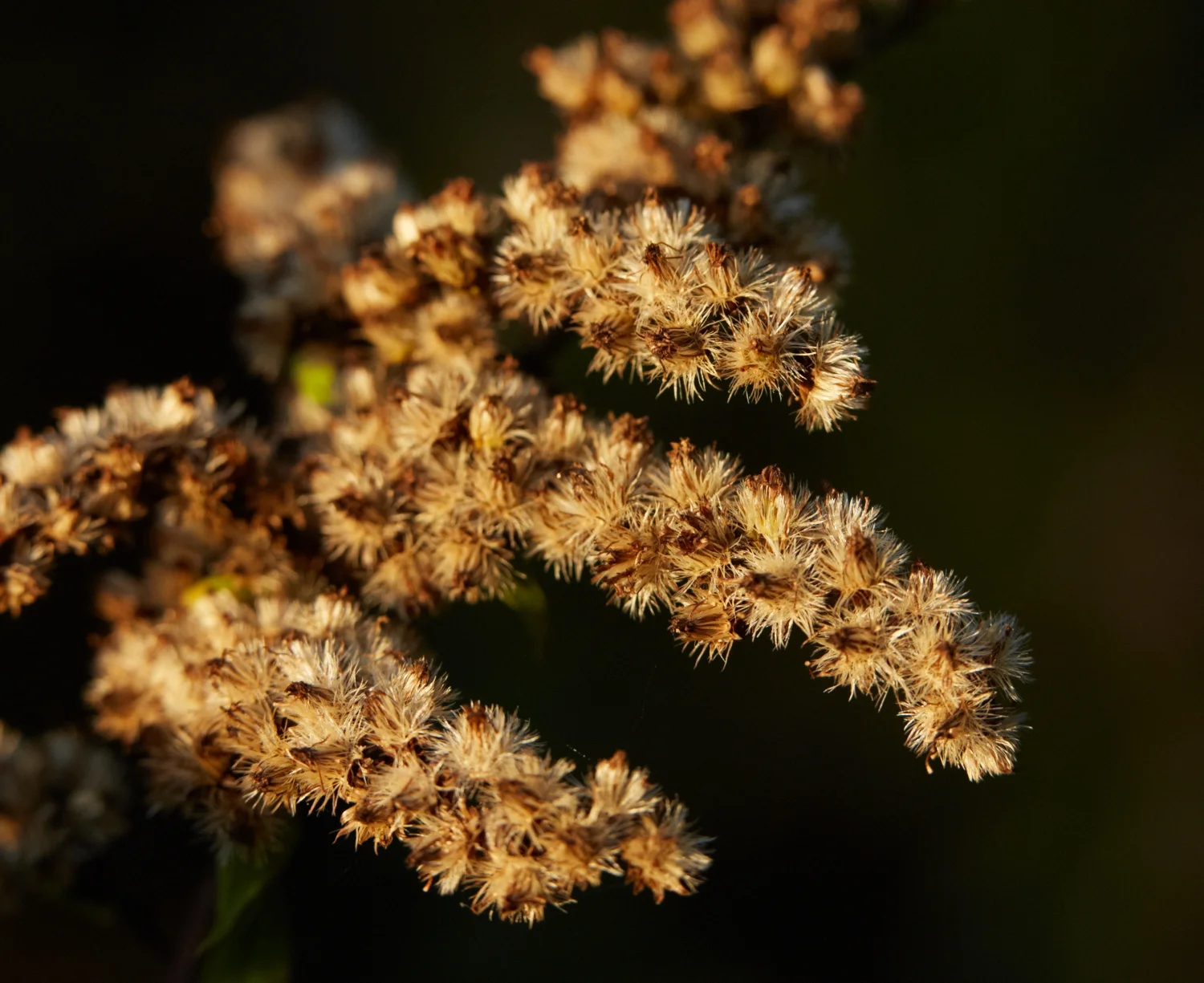 2016_10_Sunset Hill_009.jpg