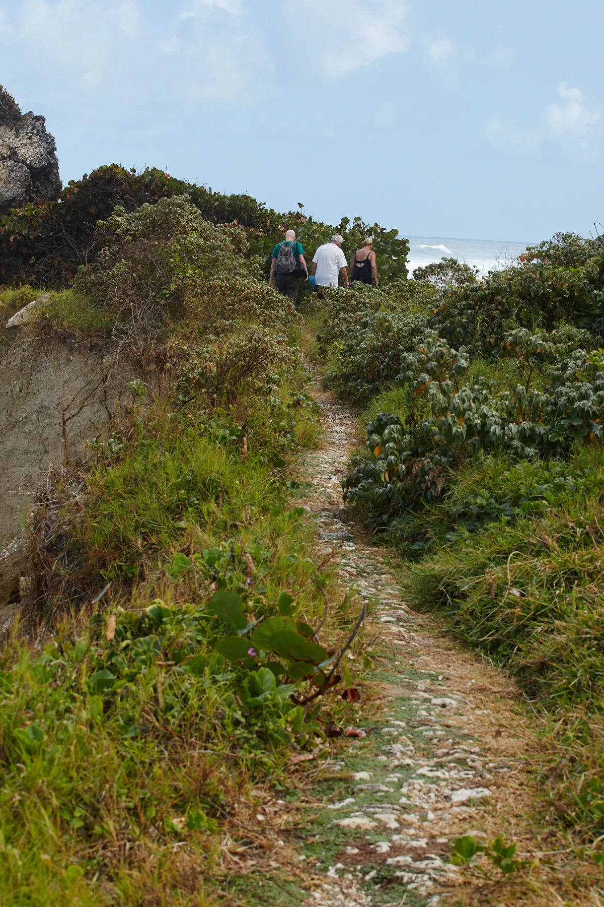 Tom, Jerry, and Joy walking along the ridge at Bathsheba