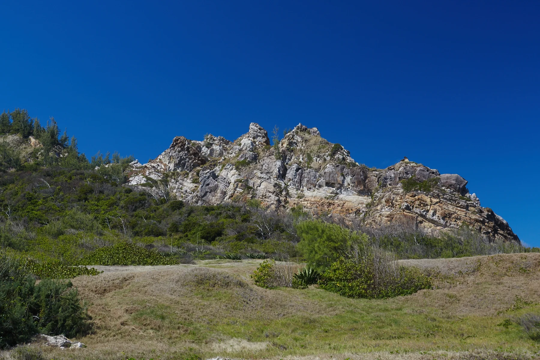 Scenery