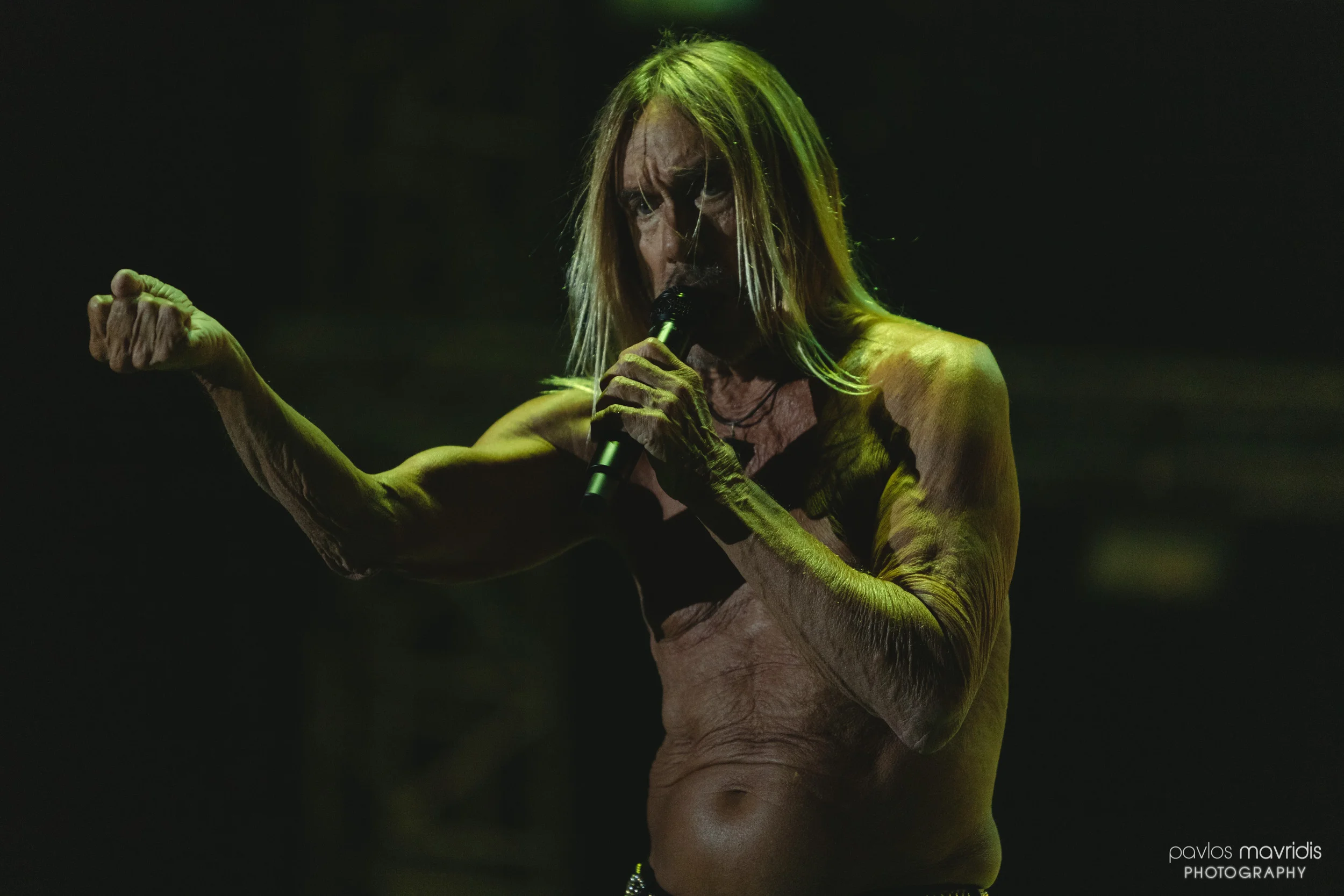 Iggy Pop_10_hires_web.jpg