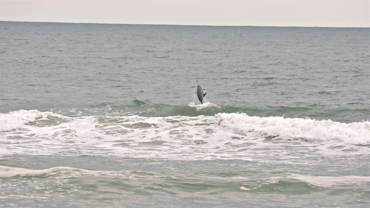 obx 2011-arden's day-11.jpg