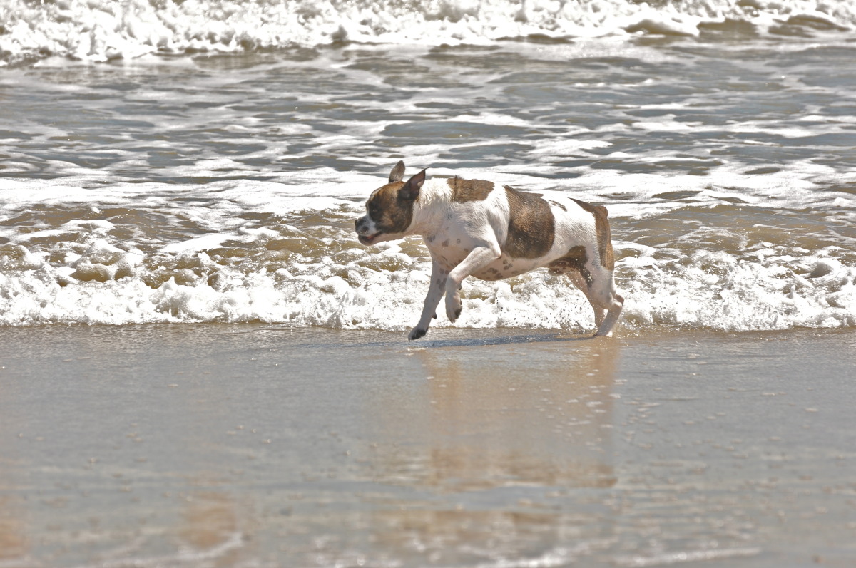 obx 2011-arden's day-6.jpg