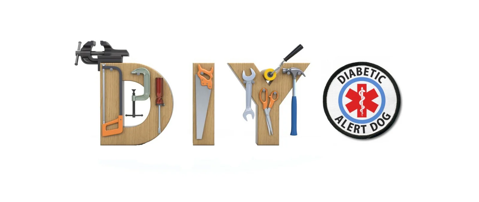 #195 T1D Ryan has a DIYK9 