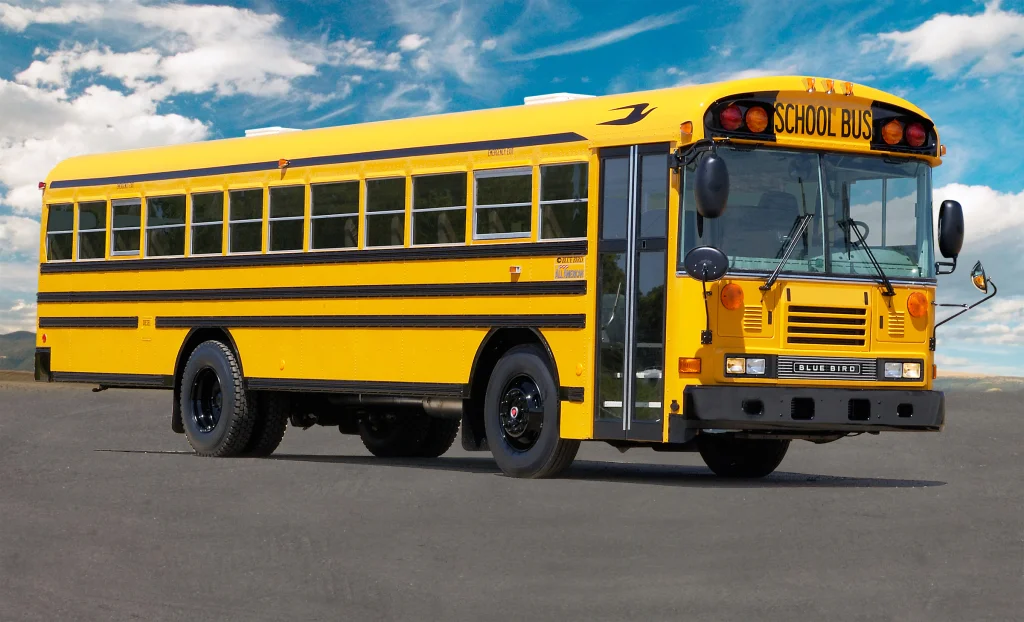 #246 Under the Shade Bus with Maddie