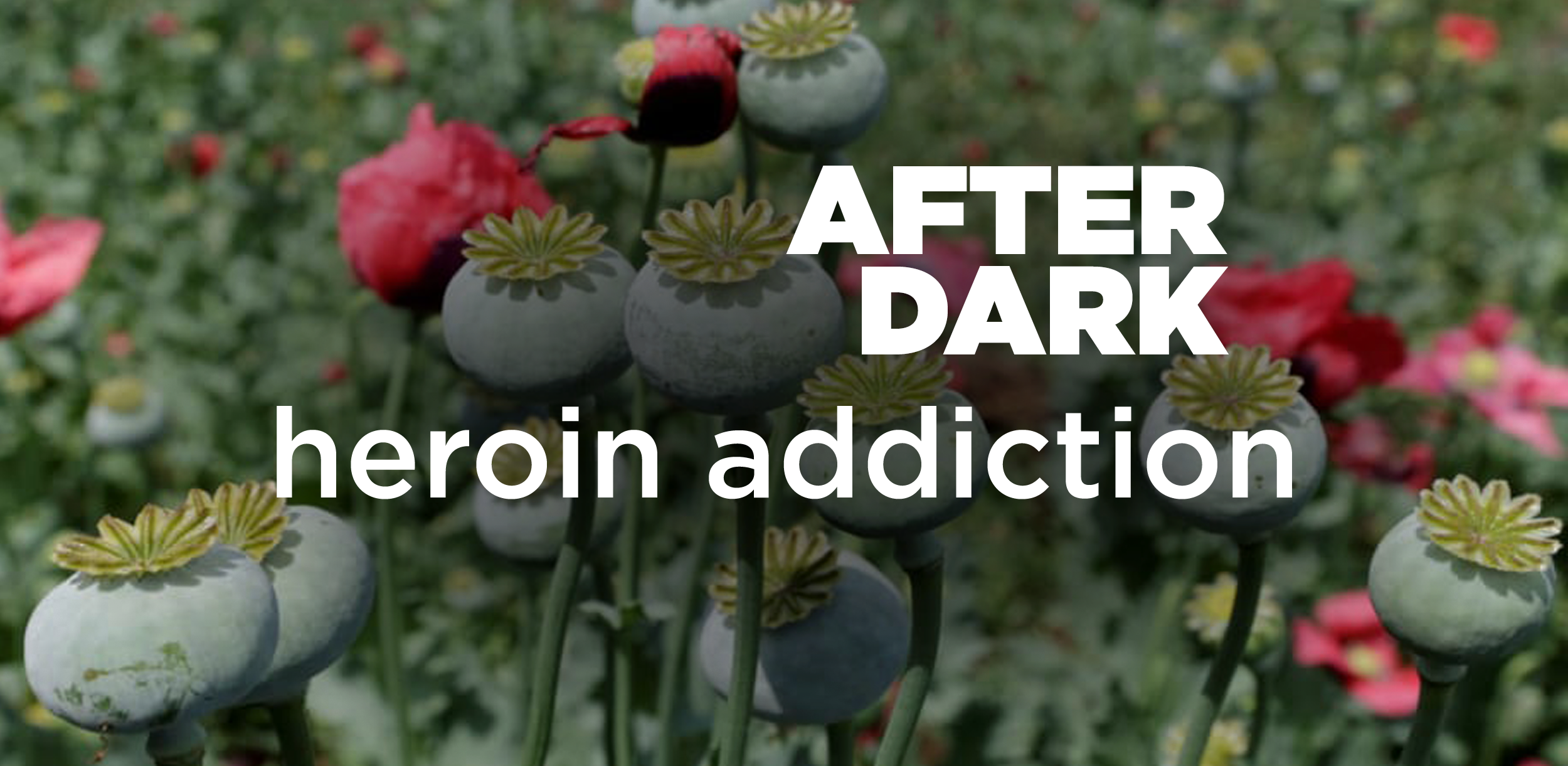 #399 After Dark: Heroin Addiction