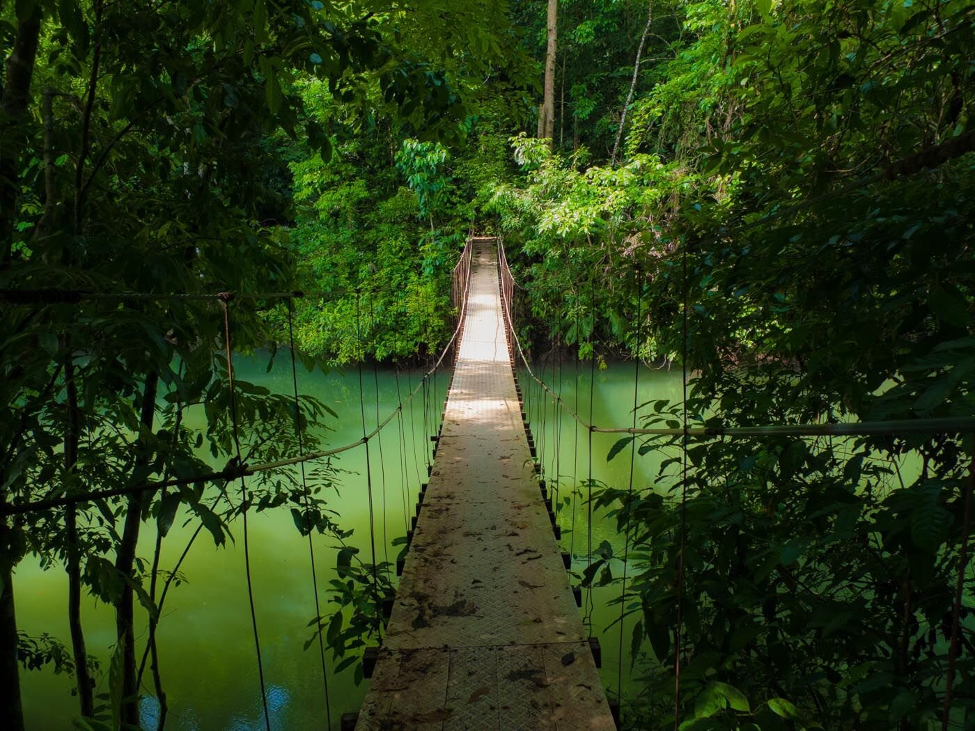 #403 Hiking the FOMO Trail