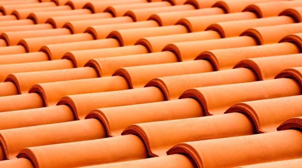 #509 Rough, Ruff, Roof