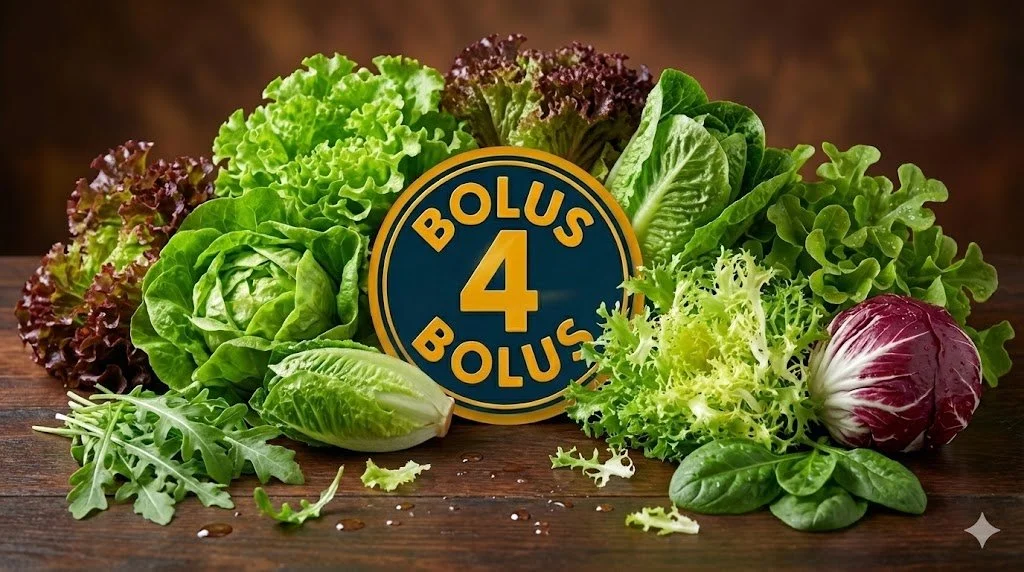 #1695 Bolus 4 - Lettuce
