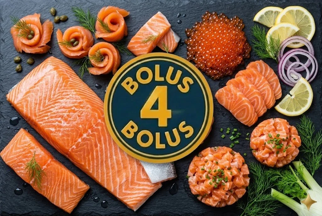 #1823 Bolus 4 - Salmon Dinner