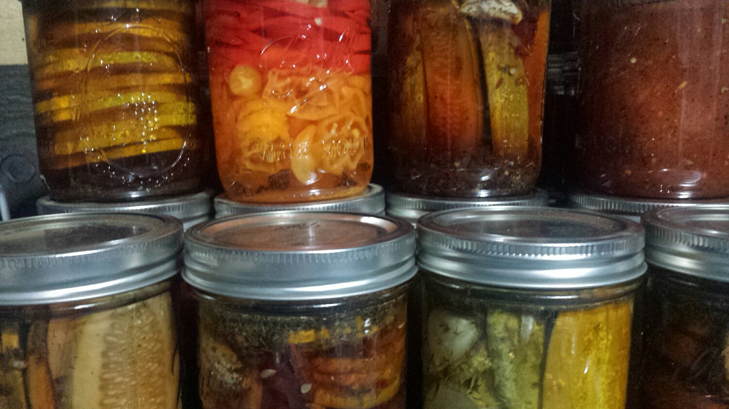 (The salsa is on the far right. We had quite a busy day with salsa and pickles and such... did you know you can use Rub it Right in your pickle brine too?!)