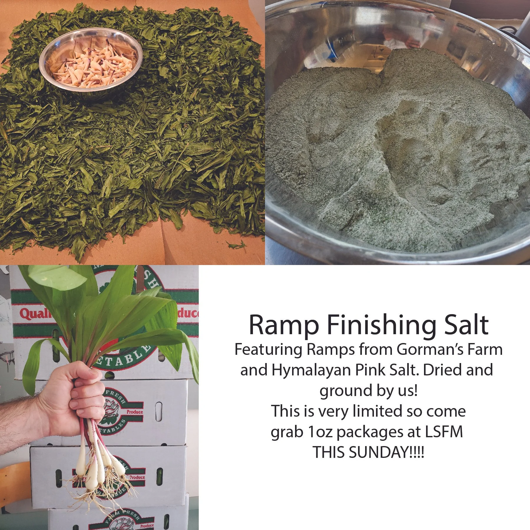 ramps2.jpg