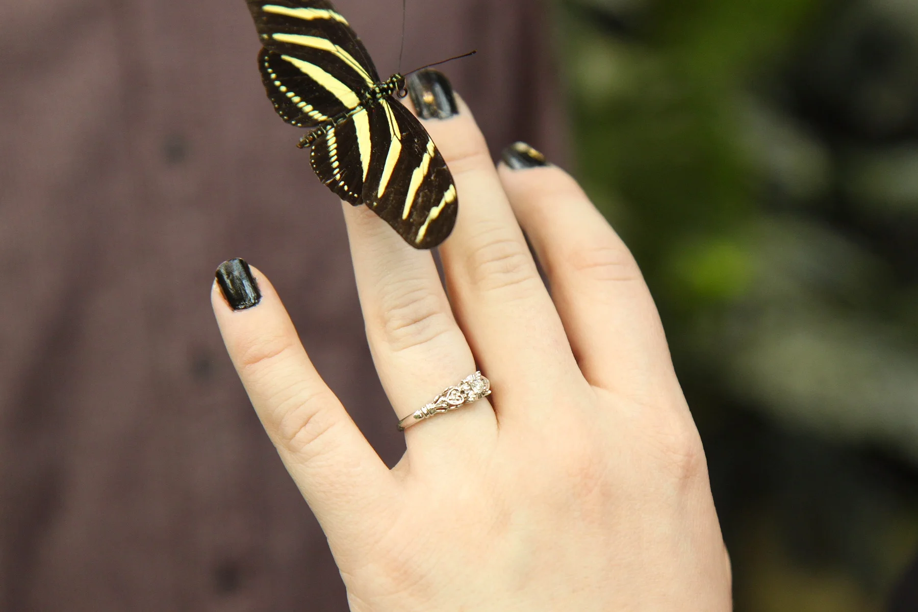 Engagement3.jpg