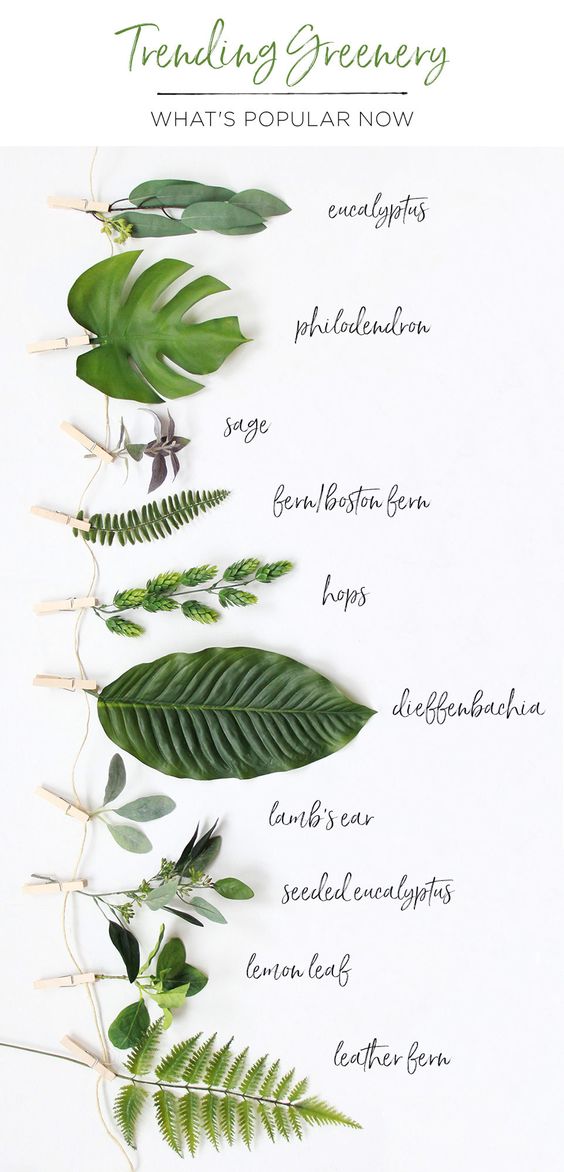 greenery.jpg