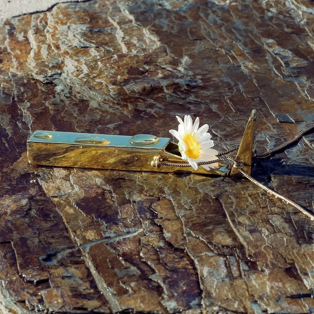 voltedaisy.jpg