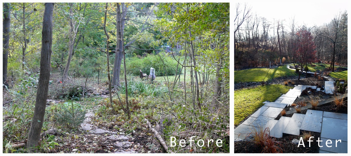 Swamp land Transformation