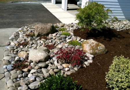 rock garden planted with sedum, thyme and boxwood in Cortland, NY.