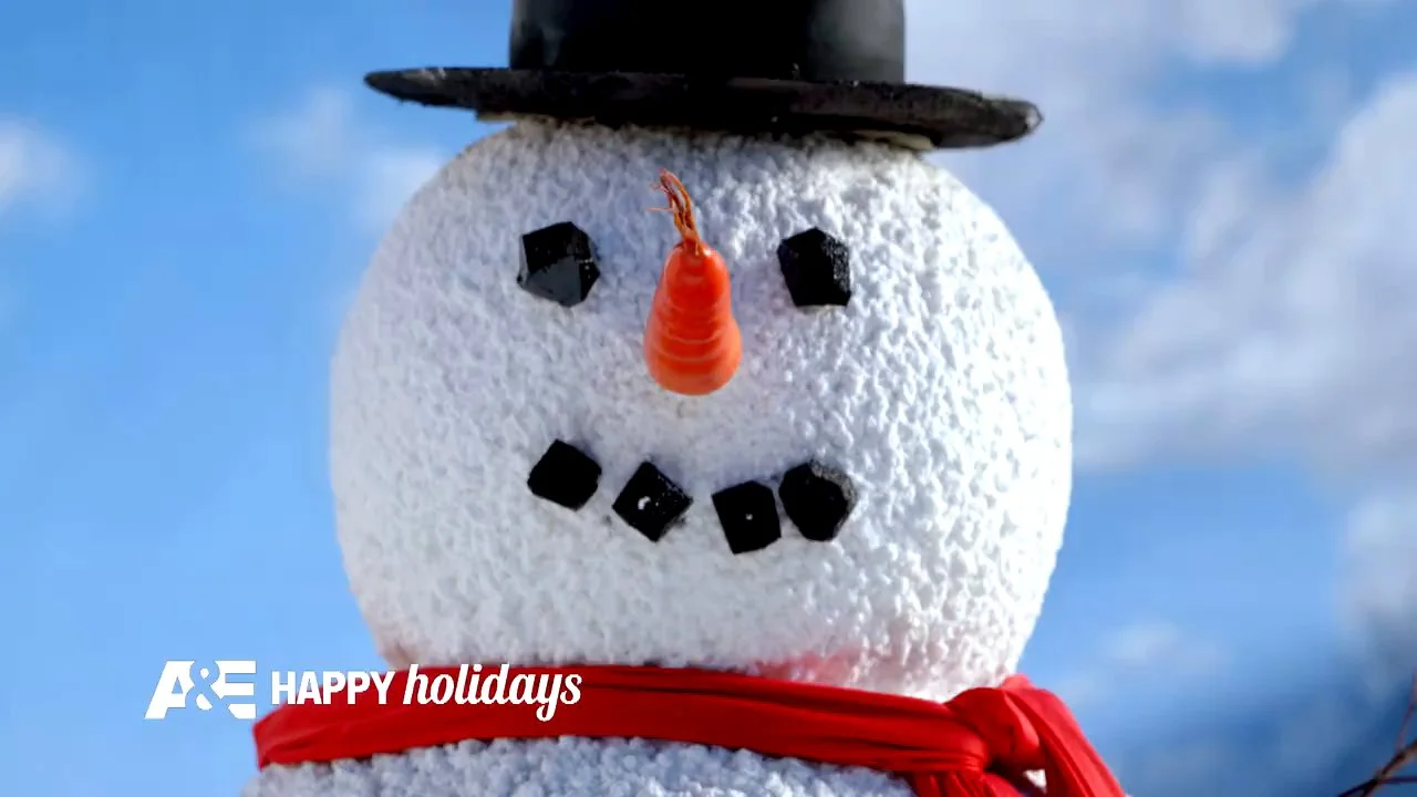 AE_Holiday_Winter.mov