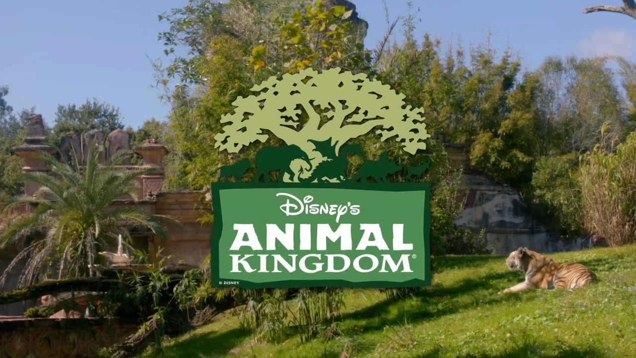 DIS_Truce_Interstitial1_Vimeo.mov