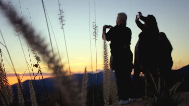 A+E: In Focus Paradolls*