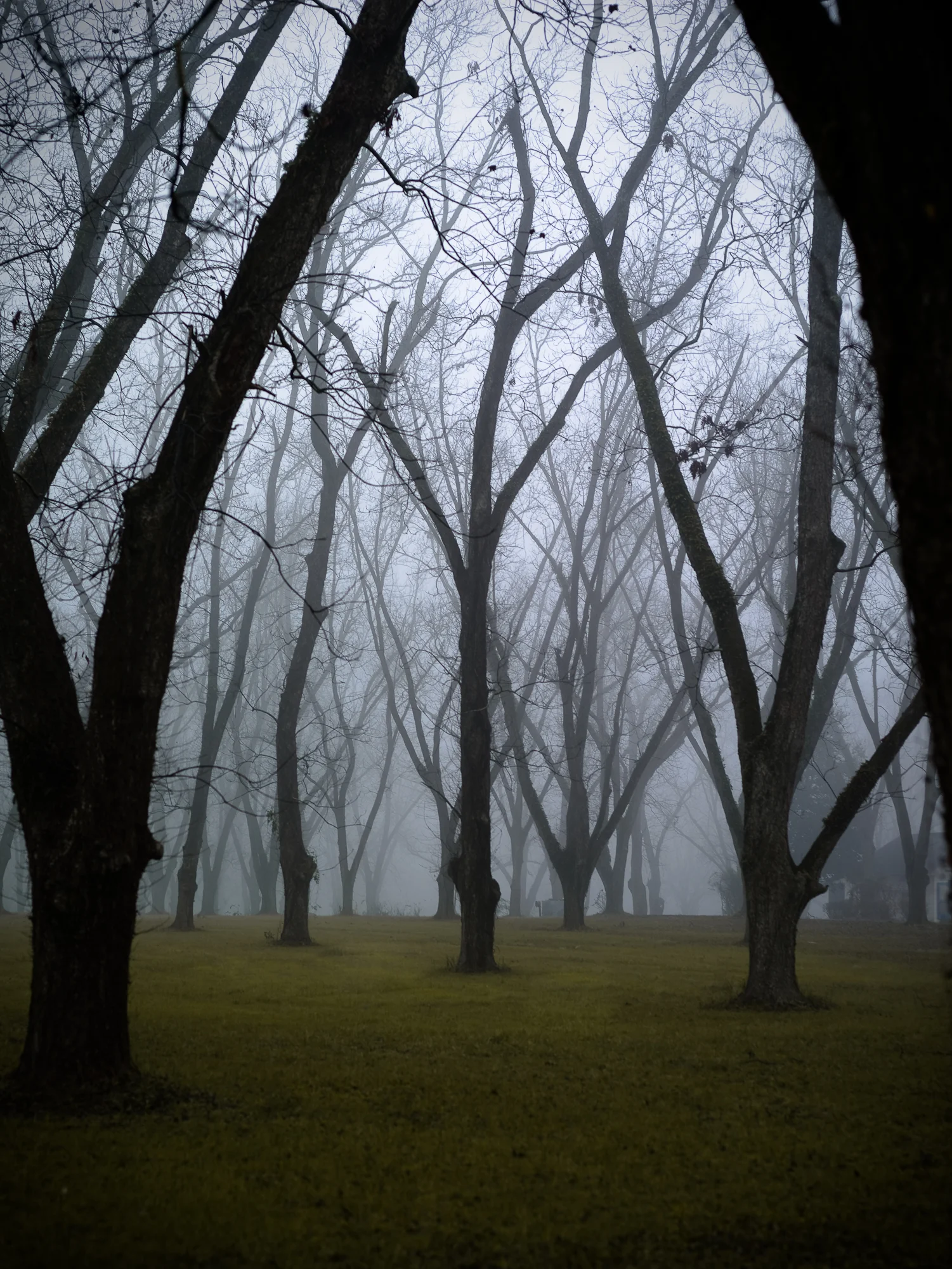 CF010034-Edit.jpg
