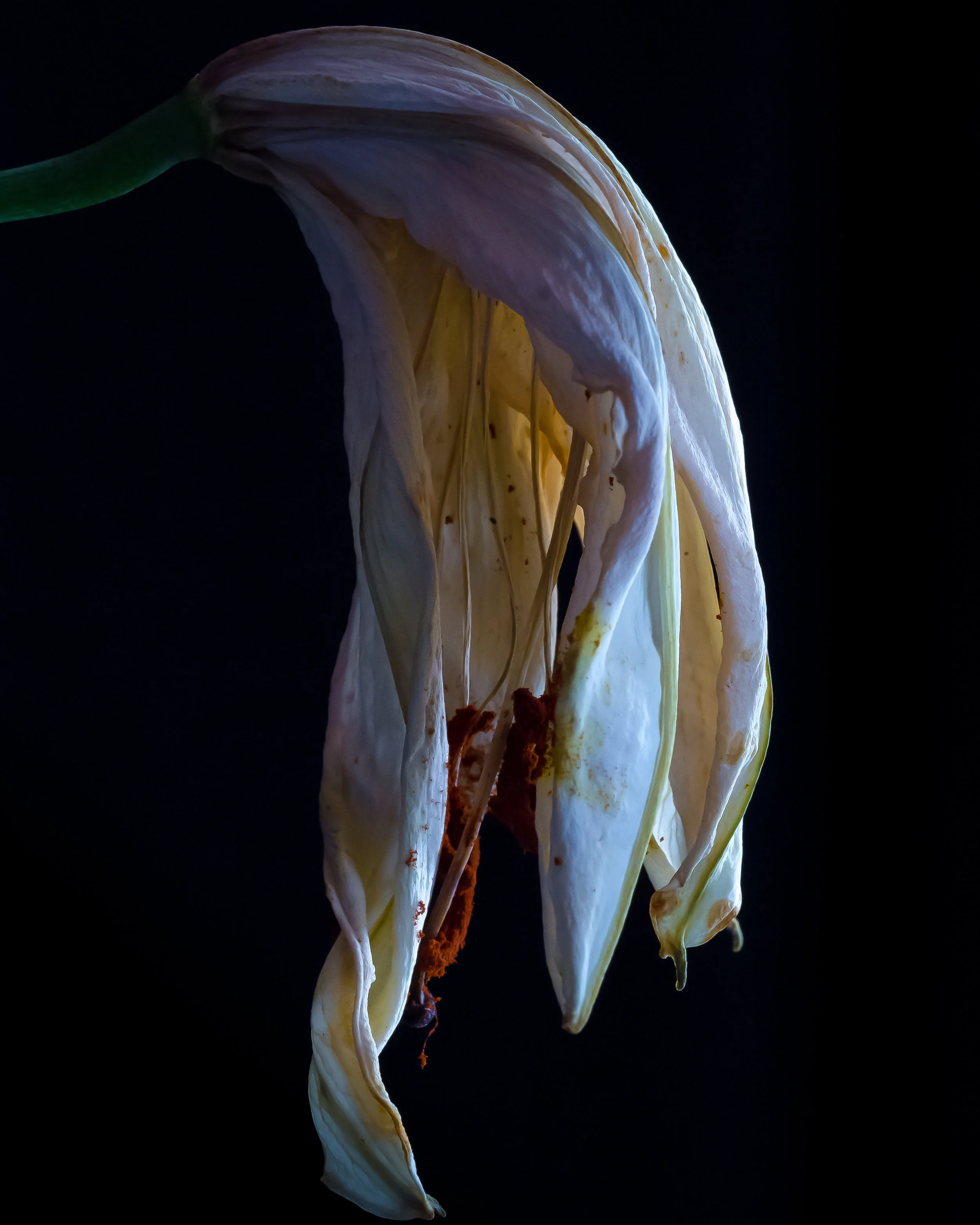 _MG_3425.jpg