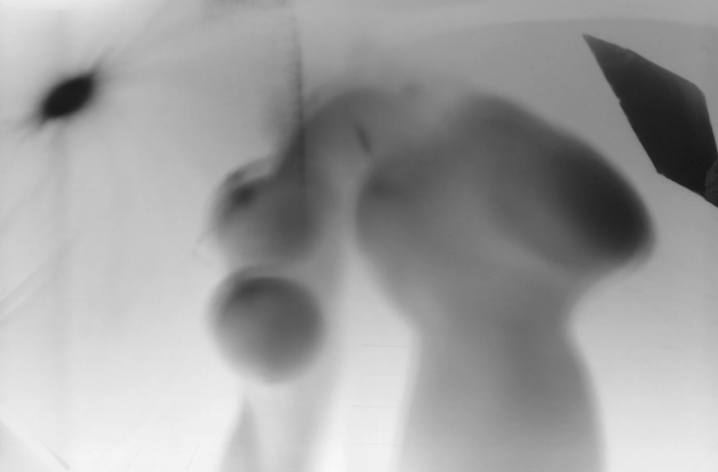 Studio Pinhole_25.jpg