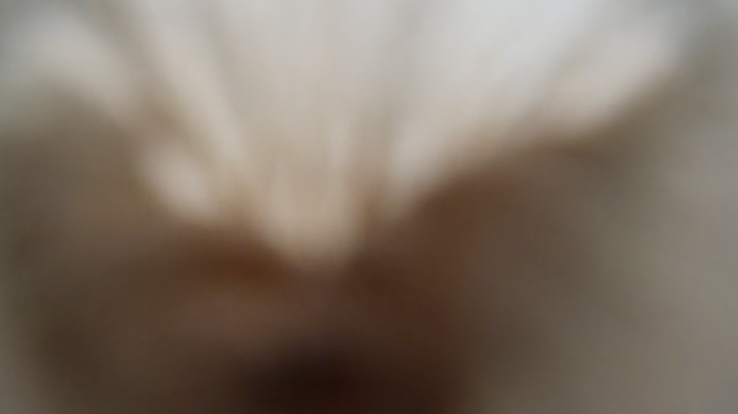 Screenshot 2025-11-30 at 5.33.22 PM.png