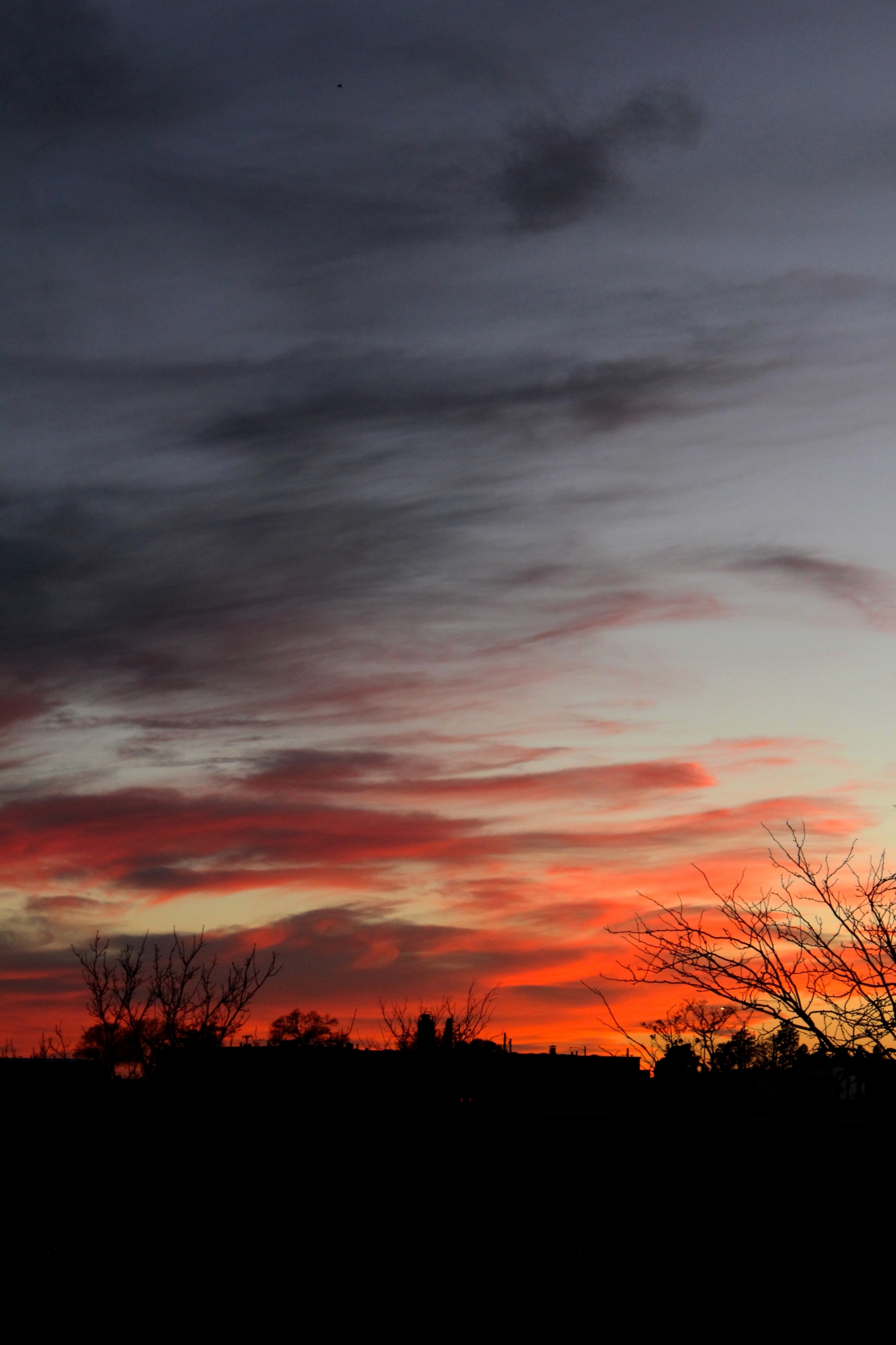 IMG_7172_edit.jpg