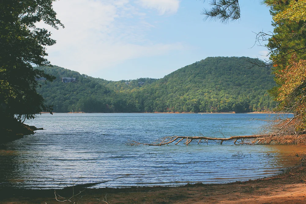 jotorrijos-jo-torrijos-asimplerdesign-redtop-lakealtoona-landscape-nature-1.jpg