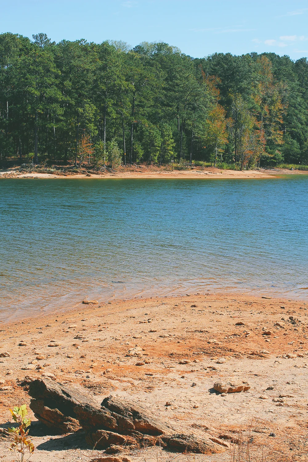 jotorrijos-jo-torrijos-asimplerdesign-redtop-lakealtoona-landscape-nature-1.jpg