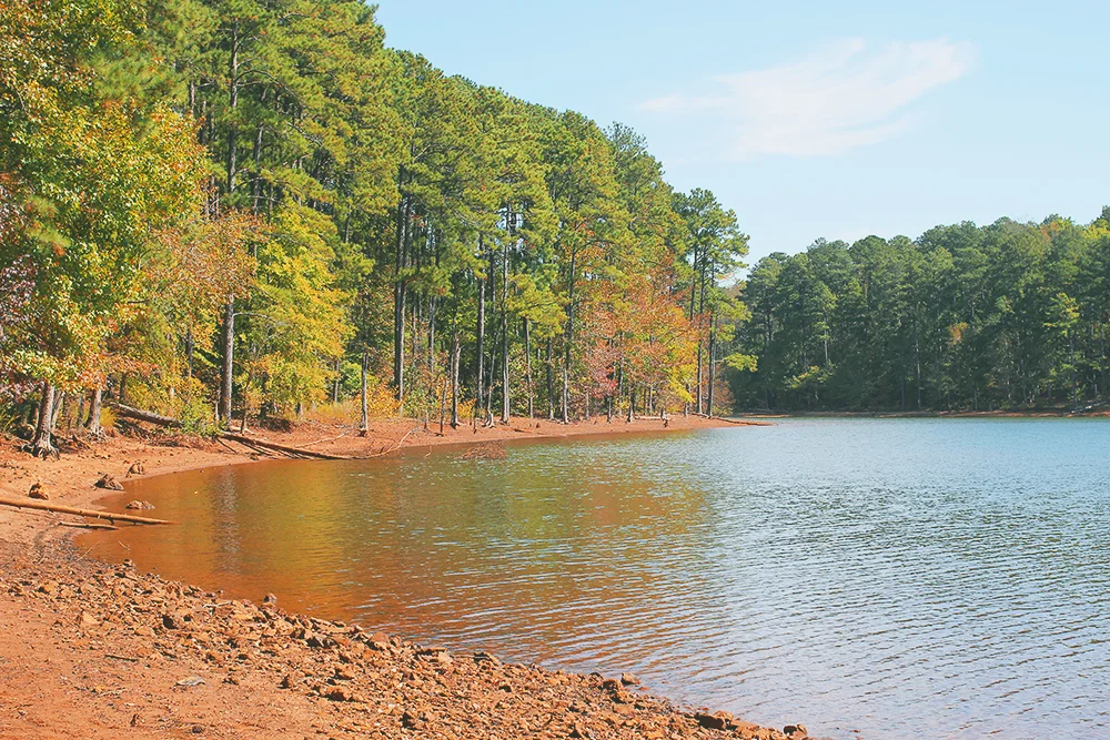 jotorrijos-jo-torrijos-asimplerdesign-redtop-lakealtoona-landscape-nature-1.jpg